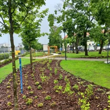 Park kieszonkowy przy skrzyżowaniu ul. Gagarina i ul. Sienkiewicza 