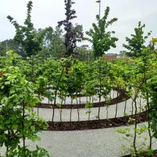 Park kieszonkowy przy skrzyżowaniu ul. Gagarina i ul. Sienkiewicza 