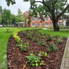 Park kieszonkowy przy skrzyżowaniu ul. Gagarina i ul. Sienkiewicza 