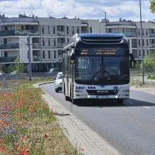 Kwietne łąki - efektowne i ekologiczne