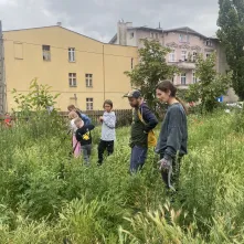 Zielony plac zabaw - interwencje małych ogrodników to zadanie, którego celem jest zazielenienie i odczarowanie terenu przed Domem Kultury Bydgoskie Przedmieście.