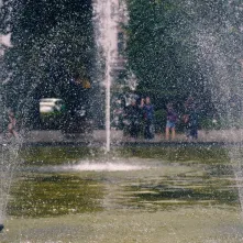 Zielony plac zabaw - interwencje małych ogrodników to zadanie, którego celem jest zazielenienie i odczarowanie terenu przed Domem Kultury Bydgoskie Przedmieście.