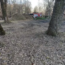 Para wodna w zrębkach drewna na Martówce