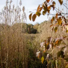 Spacer badawczy na Winnicy