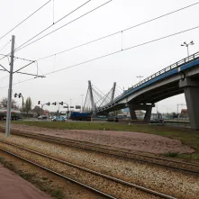 Nasadzenia przy Placu Daszyńskiego, listopad 2024