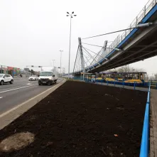 Nasadzenia przy Placu Daszyńskiego, listopad 2024