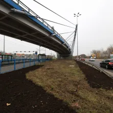 Nasadzenia przy Placu Daszyńskiego, listopad 2024