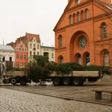 Montaż choinki bożonarodzeniowej, 29.11.2024 r.