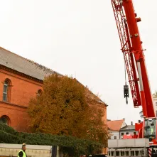 Montaż choinki bożonarodzeniowej, 29.11.2024 r.