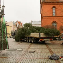 Montaż choinki bożonarodzeniowej, 29.11.2024 r.