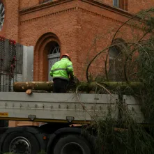 Montaż choinki bożonarodzeniowej, 29.11.2024 r.