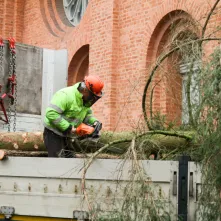 Montaż choinki bożonarodzeniowej, 29.11.2024 r.
