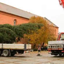 Montaż choinki bożonarodzeniowej, 29.11.2024 r.