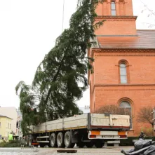 Montaż choinki bożonarodzeniowej, 29.11.2024 r.