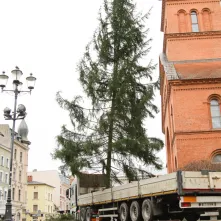 Montaż choinki bożonarodzeniowej, 29.11.2024 r.
