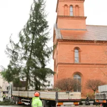 Montaż choinki bożonarodzeniowej, 29.11.2024 r.