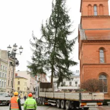 Montaż choinki bożonarodzeniowej, 29.11.2024 r.