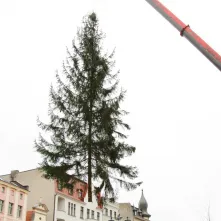 Montaż choinki bożonarodzeniowej, 29.11.2024 r.
