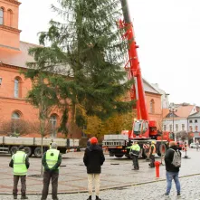 Montaż choinki bożonarodzeniowej, 29.11.2024 r.