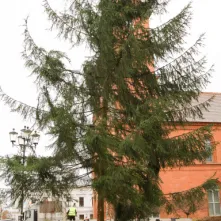 Montaż choinki bożonarodzeniowej, 29.11.2024 r.