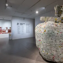 Wystawa absolwentów WSP UMK