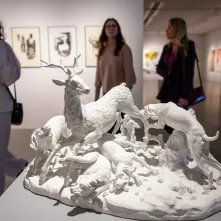 Wystawa absolwentów WSP UMK