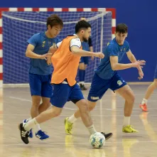 Prezentacja Elany Toruń