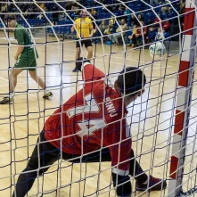 Prezentacja Elany Toruń