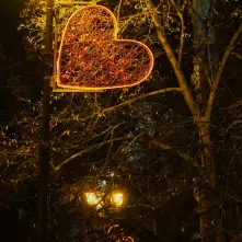 Walentynki w Toruniu