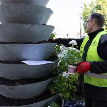 Nasadzenia kwiatów, 27.05.2025 r.