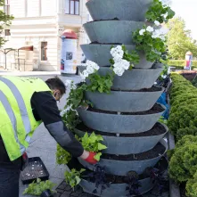 Nasadzenia kwiatów, 27.05.2025 r.