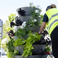 Nasadzenia kwiatów, 27.05.2025 r.