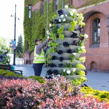Nasadzenia kwiatów, 27.05.2025 r.