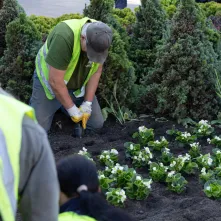 Nasadzenia kwiatów, 27.05.2025 r.