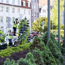 Nasadzenia kwiatów, 27.05.2025 r.