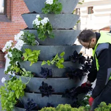 Nasadzenia kwiatów, 27.05.2025 r.