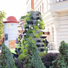 Nasadzenia kwiatów, 27.05.2025 r.