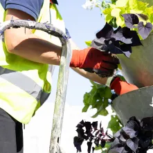 Nasadzenia kwiatów, 27.05.2025 r.