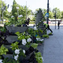 Nasadzenia kwiatów, 27.05.2025 r.