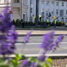 Nasadzenia kwiatów, 27.05.2025 r.