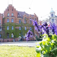 Nasadzenia kwiatów, 27.05.2025 r.