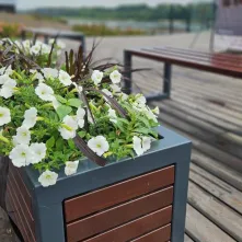  Ukwiecony Bulwar Filadelfijski