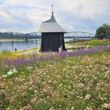  Ukwiecony Bulwar Filadelfijski