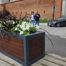  Ukwiecony Bulwar Filadelfijski