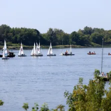 9. Festiwal Wisły - Regaty o Puchar Prezydenta Miasta Torunia