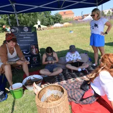 9. Festiwal Wisły - stoiska edukacyjne