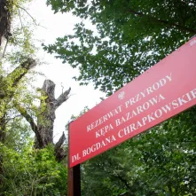 Odsłonięcie tablicy na Kępie Bazarowej