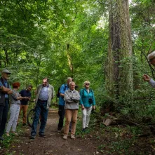 Odsłonięcie tablicy na Kępie Bazarowej