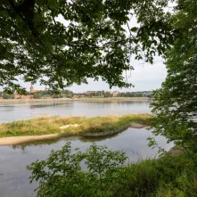 Odsłonięcie tablicy na Kępie Bazarowej