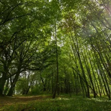 Odsłonięcie tablicy na Kępie Bazarowej